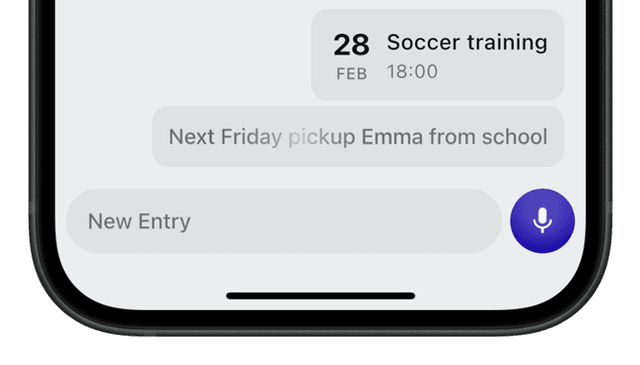 Text Input Demo